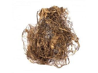 Maralno root - the main component of Maral Gel
