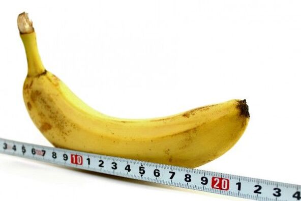 Penis measurement using bananas as an example