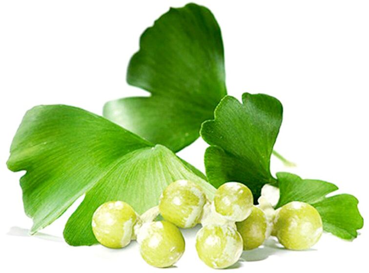 Ginkgo biloba improves blood circulation in penile tissue